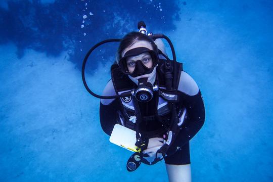 The Ultimate Stingray City Tour