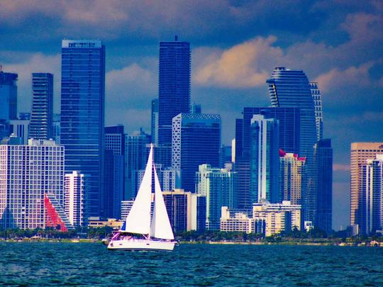 Allons faire de la voile à Miami !