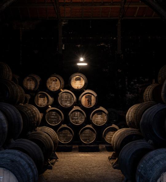 Expérience en bateau avec visite des caves de Niepoort - Porto