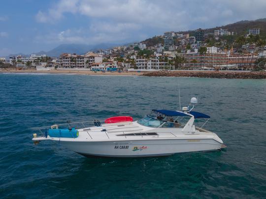 AH CARAY | Le magnifique yacht Sea Ray de 42 pieds pour une croisière d'une journée en PV.