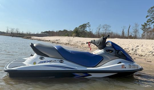 ¡Divertido, asequible y listo! Jet Ski en el lago Houston