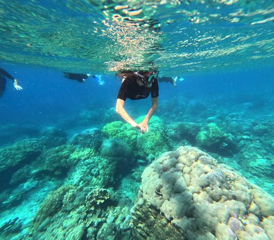 BALI Ecotour:Intro to Marine Biology with Our Boat-Based Snorkeling Tour in Amed