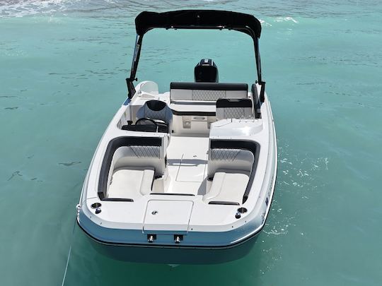 Big Grey, our Gorgeous 23' Bayliner Deck Boat with sports tower!