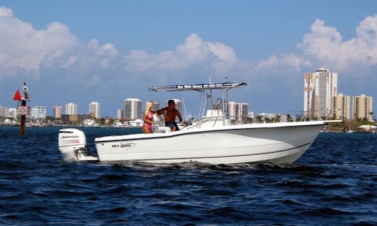 Sea Boss 21 Foot Center Console Rental