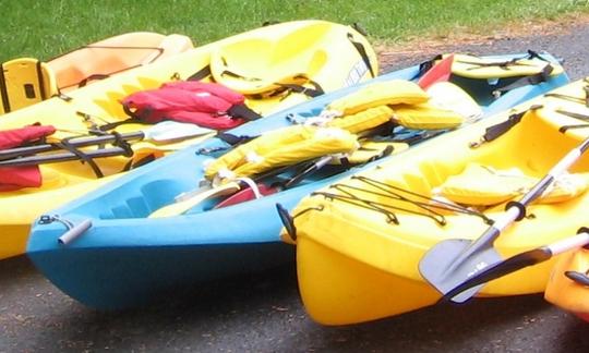 Alquiler de kayaks individuales y dobles en Newport Oregon