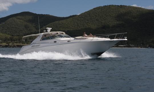 Alugue Sea Ray em Charlotte Amalie