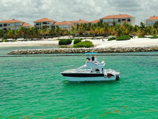 Barco de arena y esnórquel para yates privados en Cap Cana - Cap Cana, Punta Cana