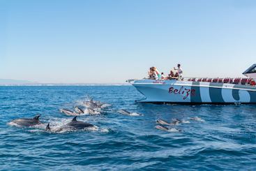 Catamaran Dolphins & Caves - Belize Terceiro