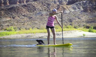 Paddleboard Rental in Hurricane