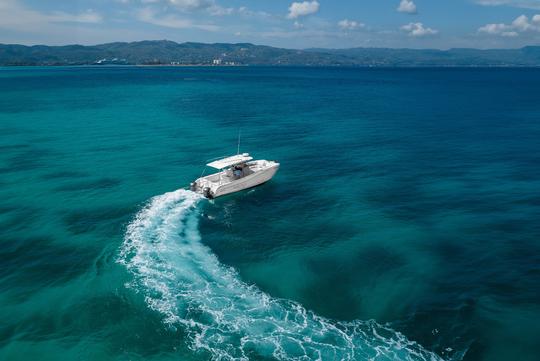 320 World Cat for Charter en Montego Bay