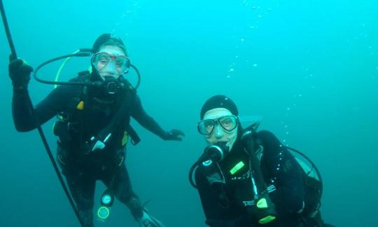 Excursions de plongée sous-marine à Paihia