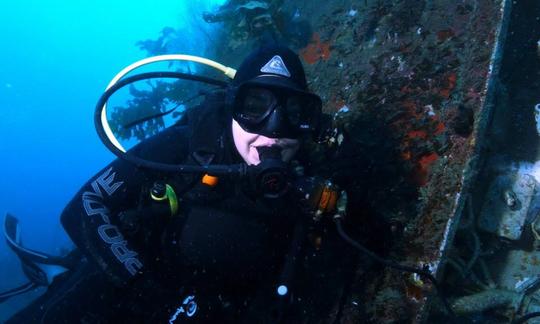 Excursions de plongée sous-marine à Paihia