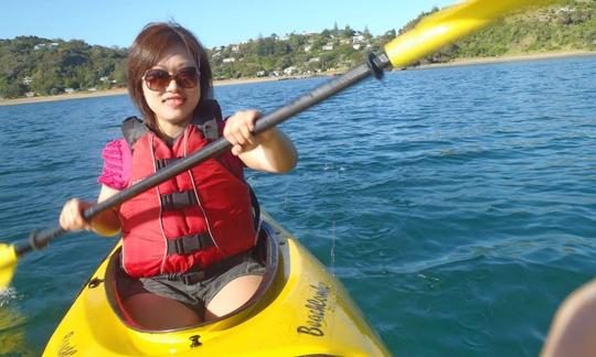 Excursion guidée de 6 heures en kayak de mer autour de la baie des Îles