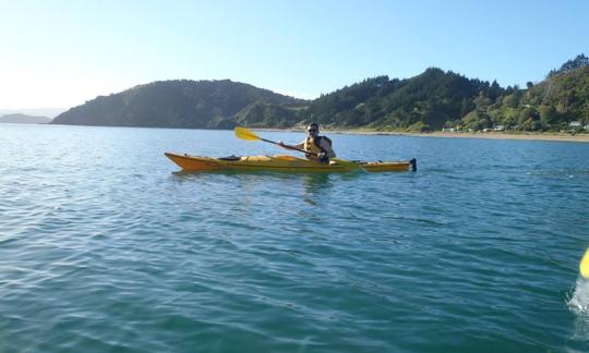 Excursion guidée de 6 heures en kayak de mer autour de la baie des Îles