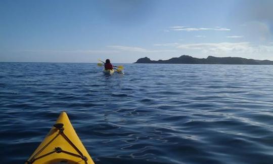 Excursion guidée de 6 heures en kayak de mer autour de la baie des Îles