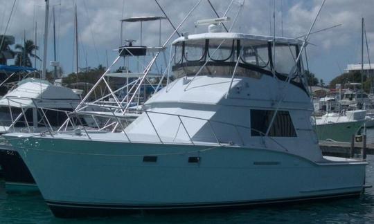 Fishing Charter On 38ft "Mornin' Ride" Yacht Nassau, The Bahamas