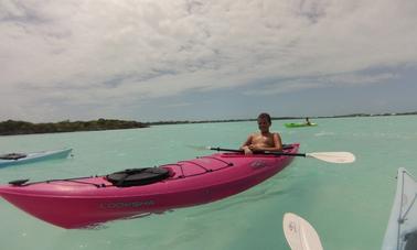 Tours ecológicos en kayak y SUP en las Islas Turcas y Caicos