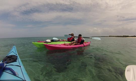 Kayak & SUP EcoTours in Turks and Caicos Islands