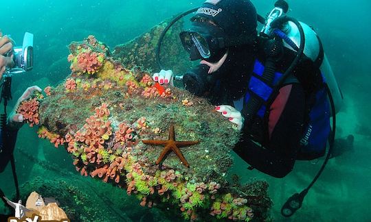 Scuba Diving on Trawler Boat in Rio de Janeiro, Brazil