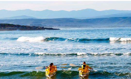 Alquiler de kayaks en Plettenberg Bay