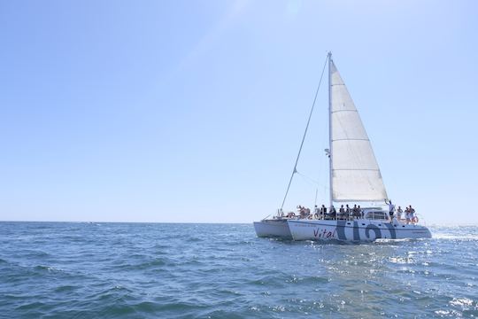 Crucero en velero desde Vilamoura - Vital