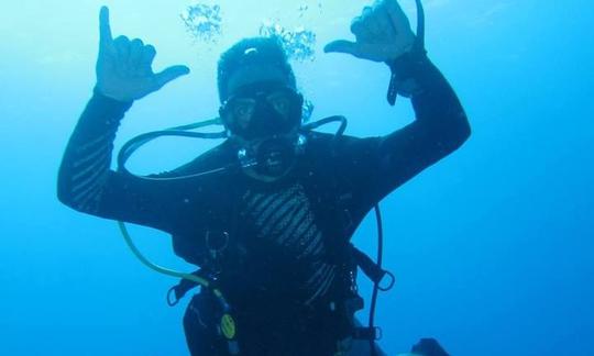 Plongées amusantes au départ de Koh Tao