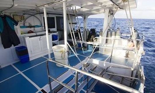 Liveaboard Diving Charters on