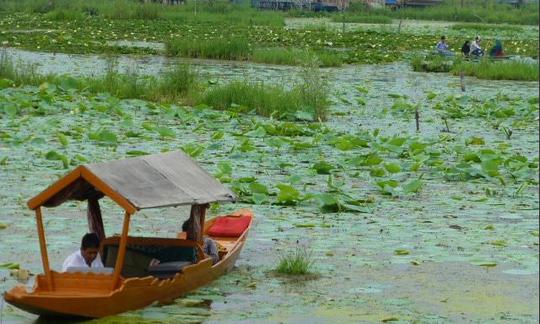 Aluguéis de casas flutuantes em Kashmir