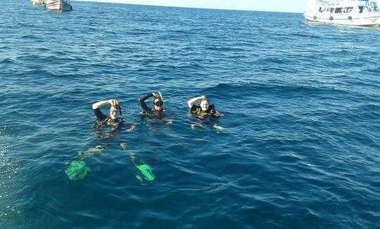 Viagem divertida de mergulho em Surat Thani