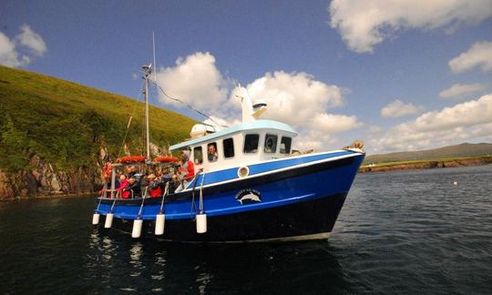 Croisière touristique à Dingle