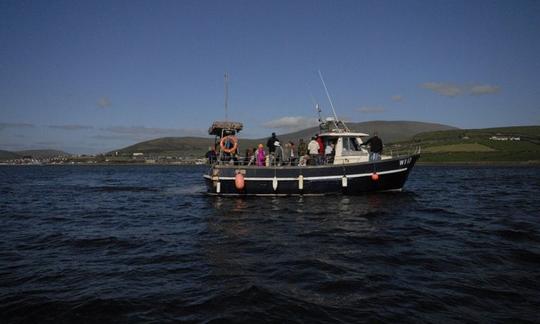 Croisière touristique à Dingle