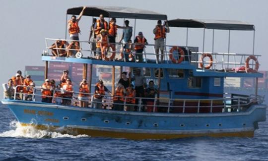 Barco de observação de baleias em Weligama//Mirissa