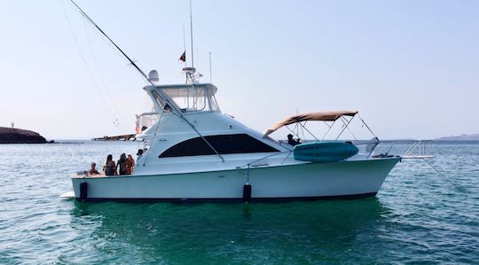 Luxe et confort réunis au Ocean 44 pieds Yacht & Sportfishing