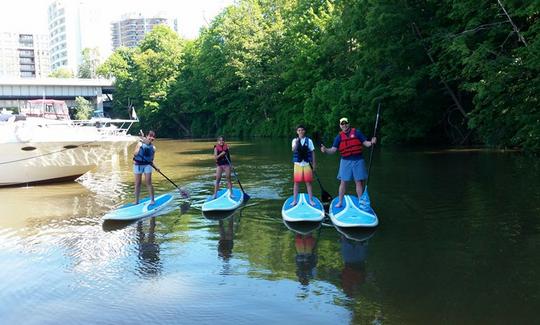 Alquiler de tablas de remo y clases de surf en Oakville