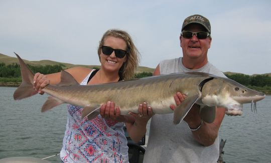 Viagens guiadas de pesca de esturjão em Medicine Hat Alberta, Canadá