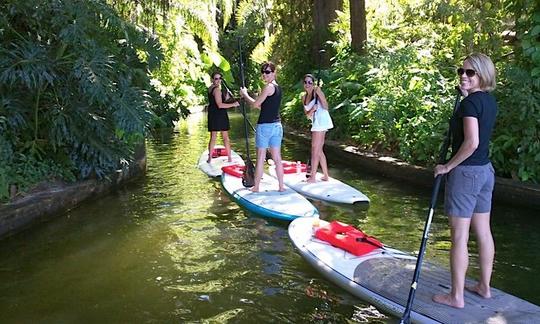 Alquiler, recorridos y clases de SUP en Orlando