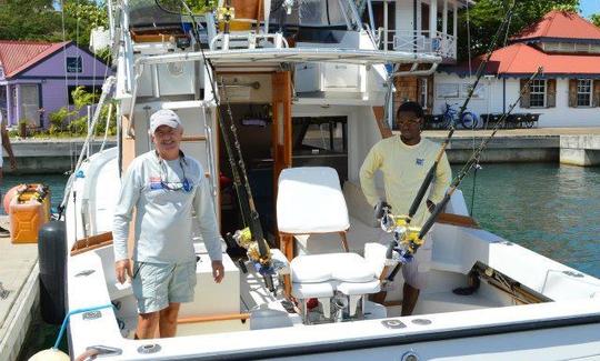 31' Sport Fisher Yacht Charter in Grenada