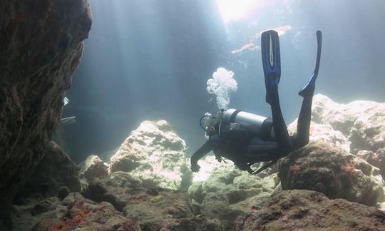 Diving Charter in The Valley, Anguilla