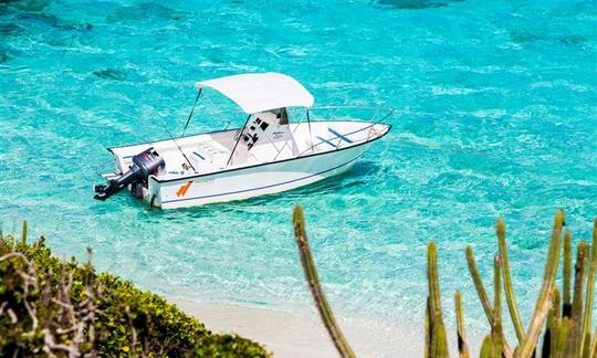 Paddleboard Rental in Grenadines