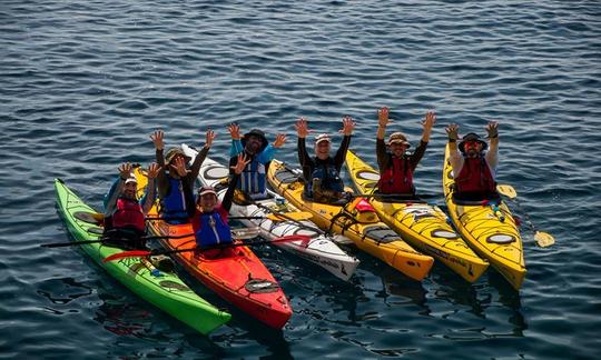 Kayak Rental in Kardamili