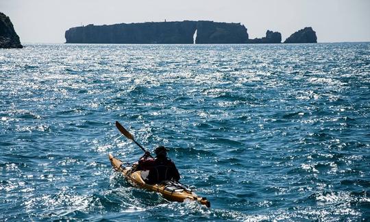 Sea kayak in Navarino