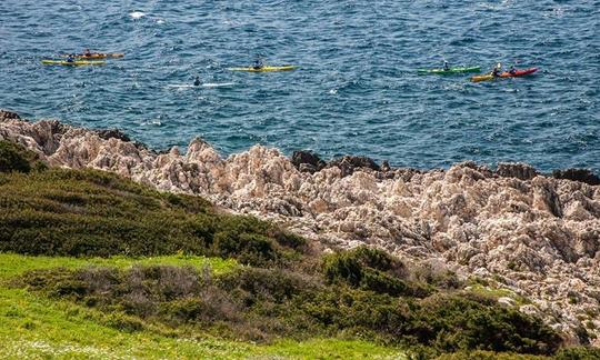 Sea kayak in Navarino