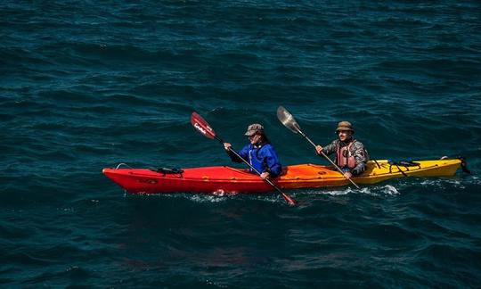 Sea kayak in Navarino