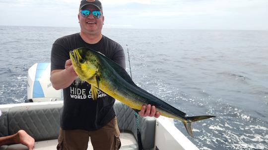 Carta de pesca de barco Todomar 38' na Cidade do Panamá, Panamá 