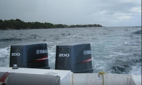 Alquiler de lanchas rápidas y esnórquel en el oeste de Tobago