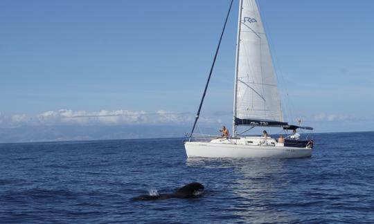 Alquiler de monocasco Gran Azor Cruising en Adeje, Tenerife, España