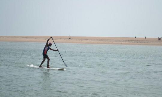 Aluguel de pranchas de remo em Mandrem, Índia