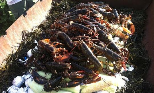 Alquiler de barcos Bass de 21 pies en Nobleboro, Maine