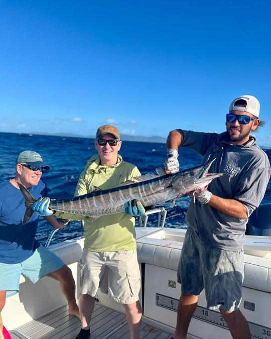 Full Day Fishing- St. Thomas, US Virgin Islands