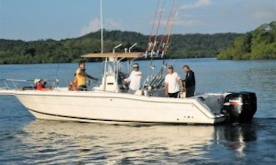 Fishing Charter on 30' Bertram Flybrige Yacht in Chicá, Panamá